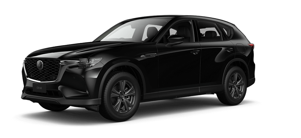 Jet Black Mica