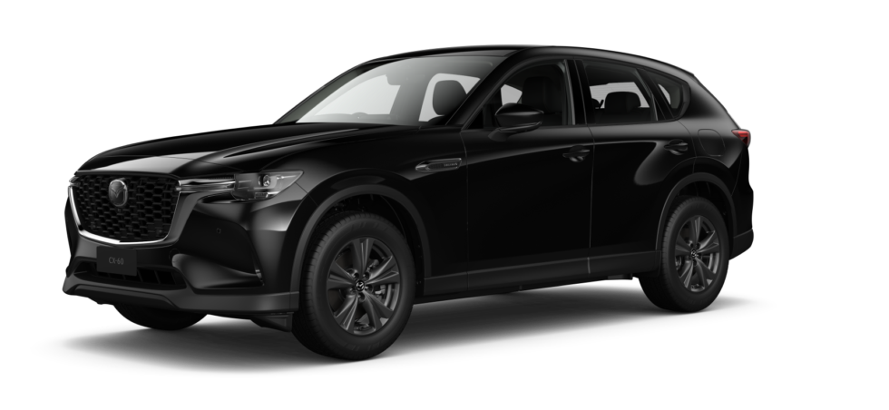 Jet Black Mica
