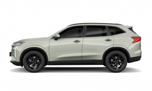 New GWM Haval H6