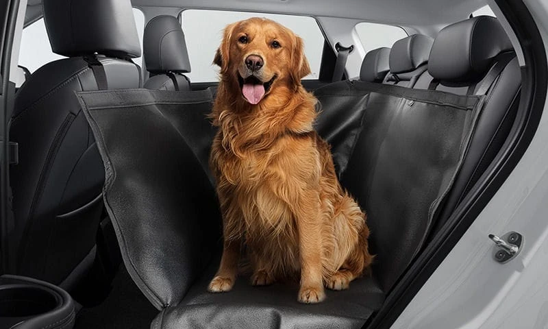 Rear seat pet cover