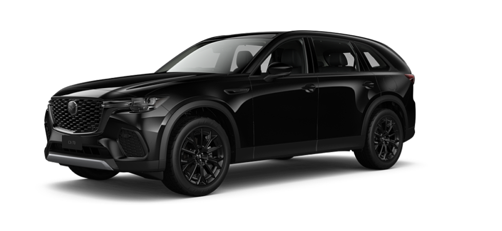 Jet Black Mica