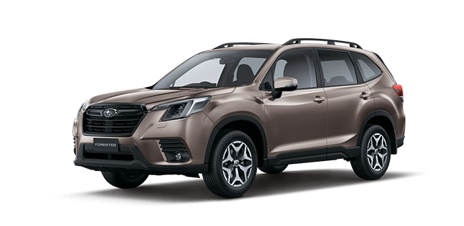 Brilliant Bronze Metallic