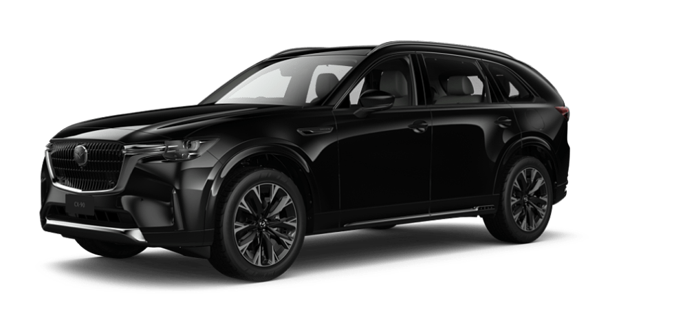 Jet Black Mica