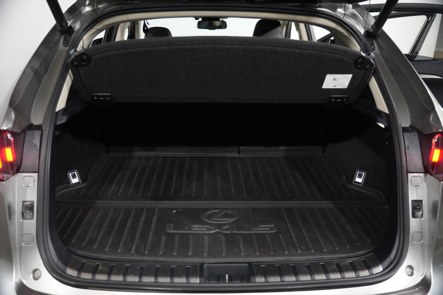 2020 Lexus Nx300 Luxury (Awd) SUV Image 27