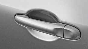 Door Handle Protection Film (Set of 2)