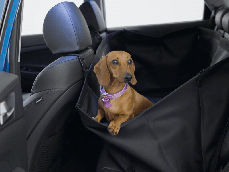 <img src="Rear seat pet cover