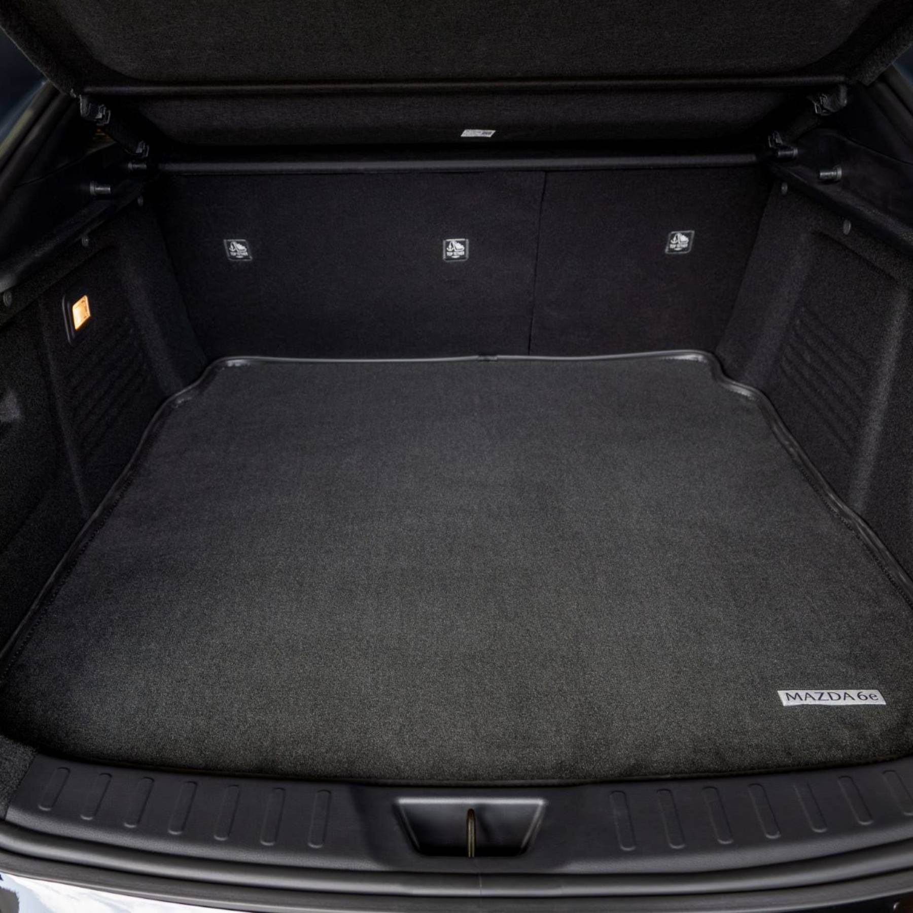 Cargo tray