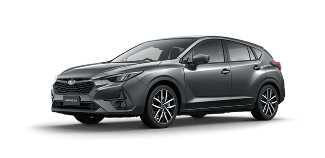Magnetite Grey Metallic