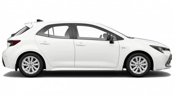 Ascent Sport