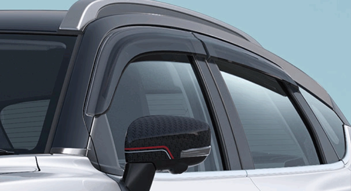 Door Visor