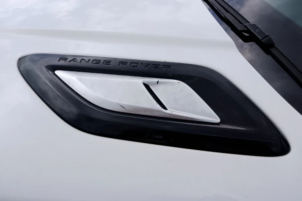 2019 MY20 Land Rover Range Rover Sport L494 SDV6 183kW SE SUV Image 11