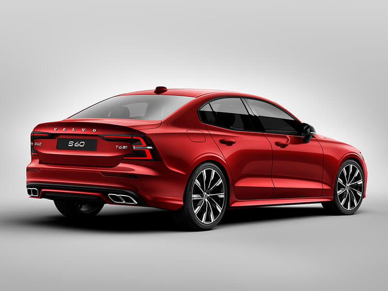 Added dynamism Image