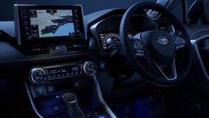 Rav4 Enjoy the moment