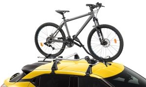 Bike Carrier