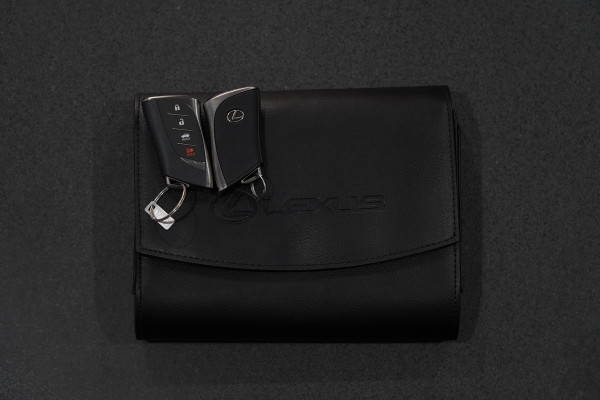 2021 Lexus Lc500 URZ100R Luxury Convertible Convertible Image 49