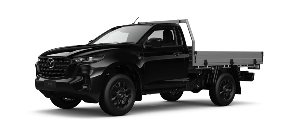 True Black Mica