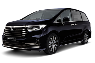 Premium Twinkle Black