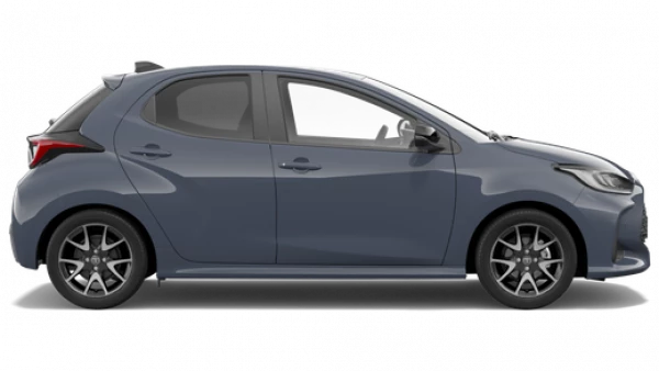 SX Hybrid
