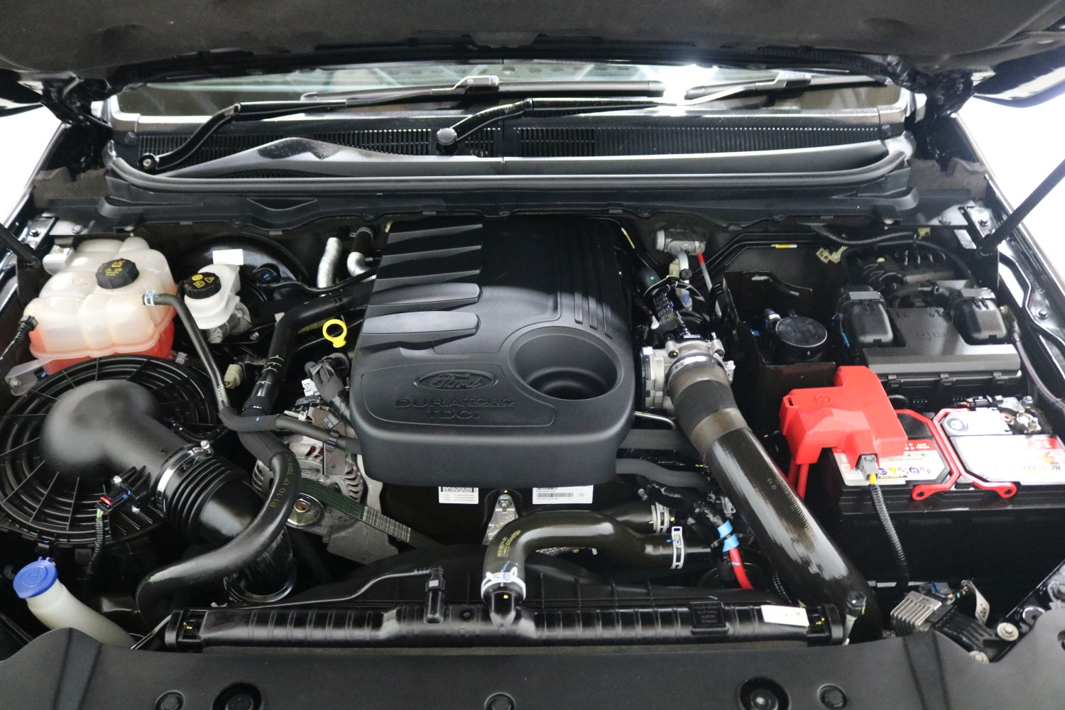 2017 Ford Ranger PX MKII XLT Utility Image 17