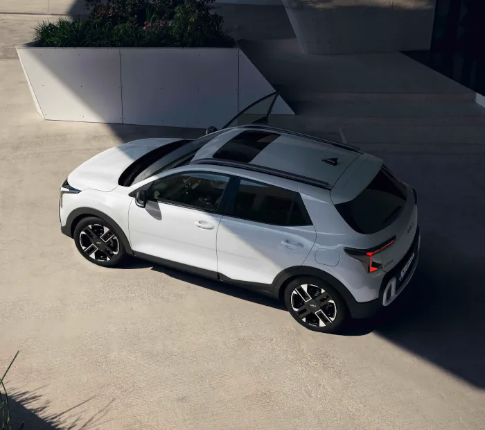 Mild Hybrid Efficiency.SUV attitude. Image