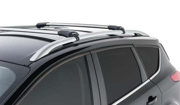 <img src="Carry Bars - Rhino-Rack Stealth - Silver - FLA