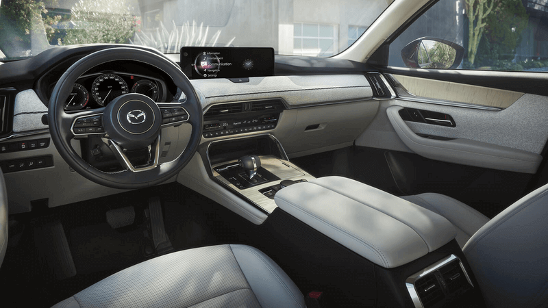Mazda Premium Car Care Interior Protection