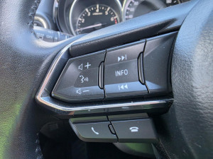 2019 Mazda CX-9 TC Touring SUV