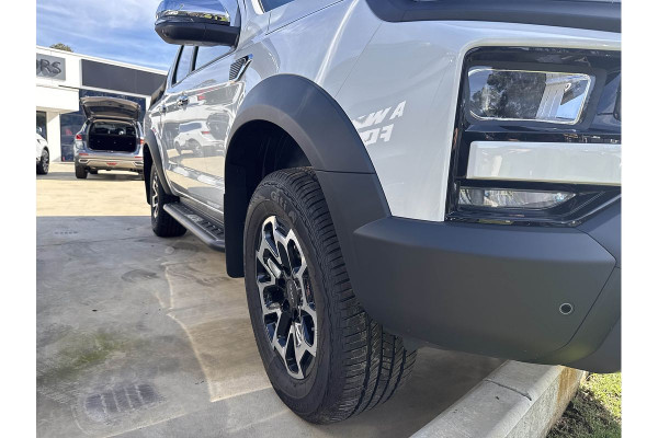 2024 JAC T9  Haven Ute