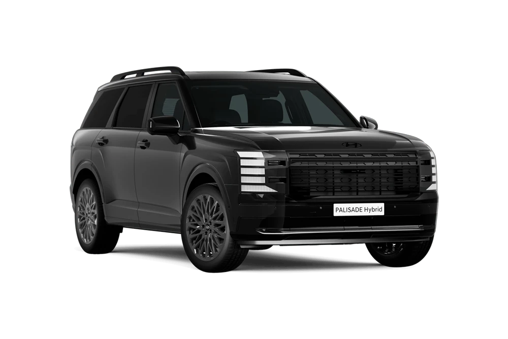 PALISADE Calligraphy Black Ink (8-seat)