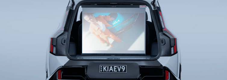 Portable Projector Screen