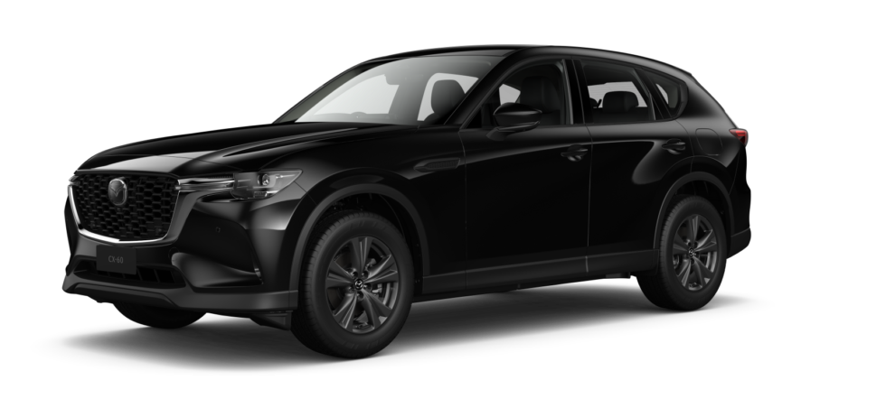 Jet Black Mica