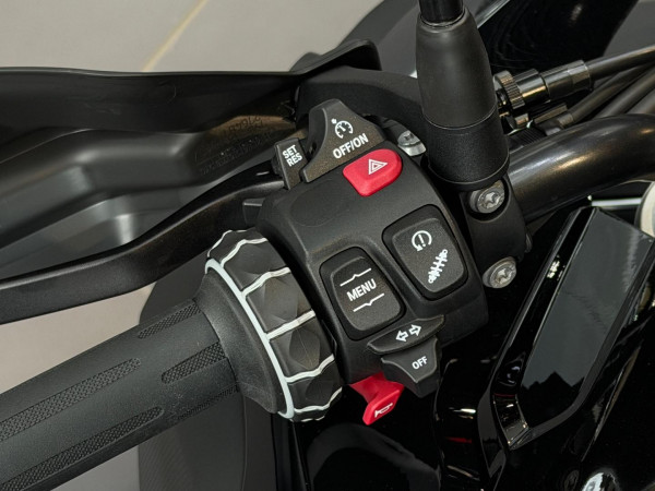 2026 BMW F 800 GS Triple Black F 800 image 9