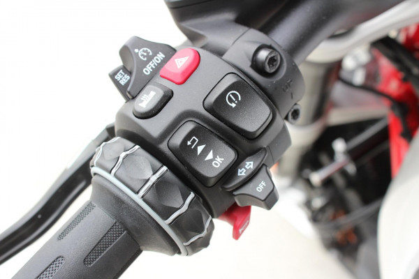 2025 BMW R 12 nineT Option 719 R 12 image 26