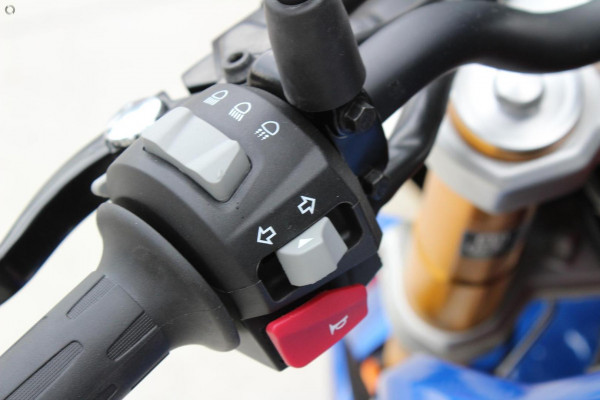 2025 BMW G 310 R G 310 image 12