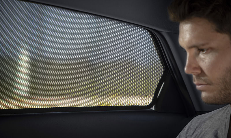 Rear window shades (set of 2)
