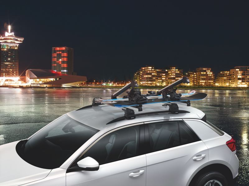 Ski and snowboard carrier