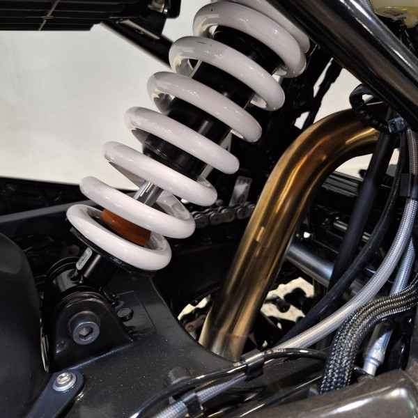 2026 BMW G 310 R G 310 image 19