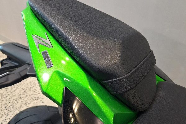 2021 Kawasaki Z H2 H2