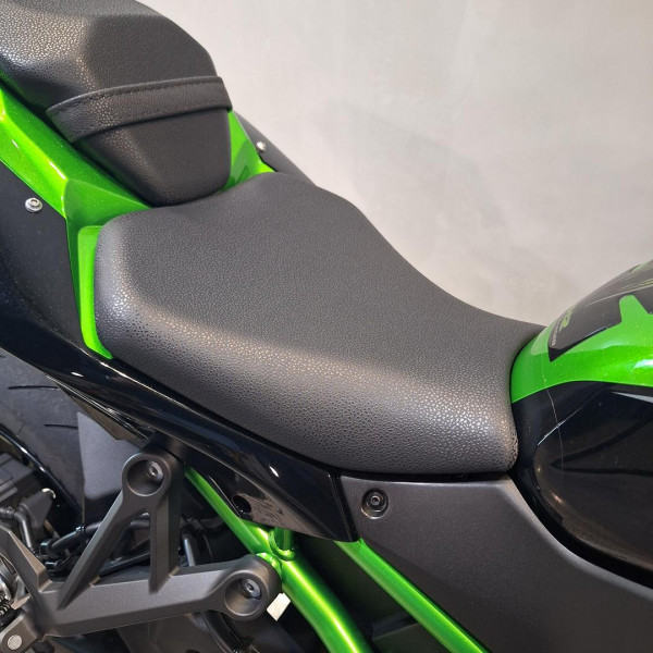 2021 Kawasaki Z H2 H2 image 17