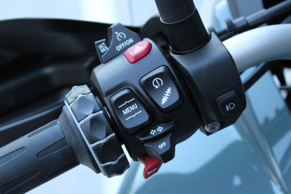 2026 BMW F 900 GS Adventure Ride Pro F 900 image 18