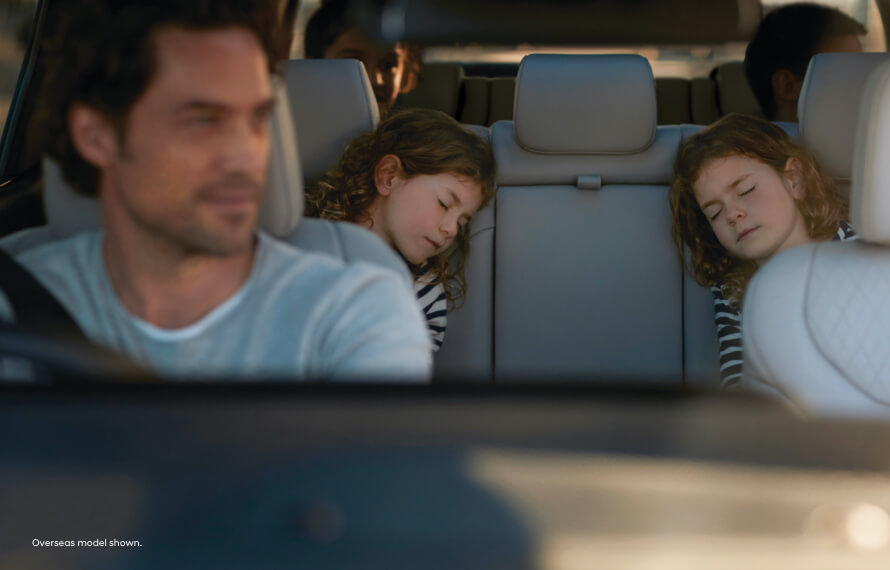 Palisade Quiet Mode function.