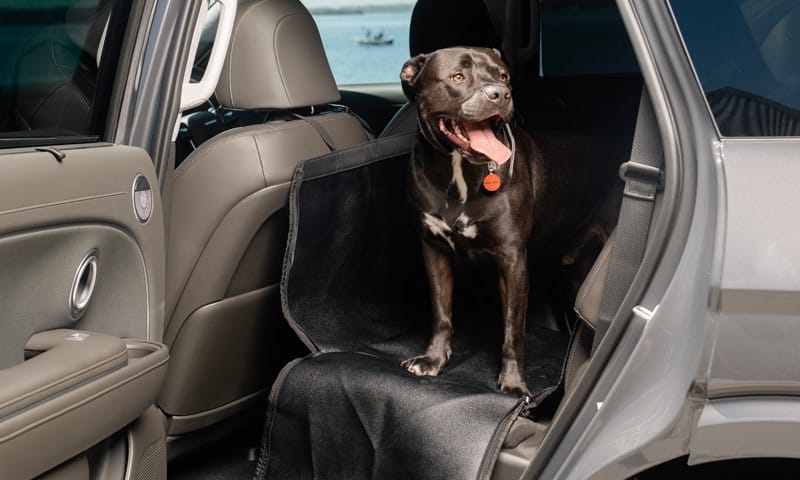 Rear seat pet cover