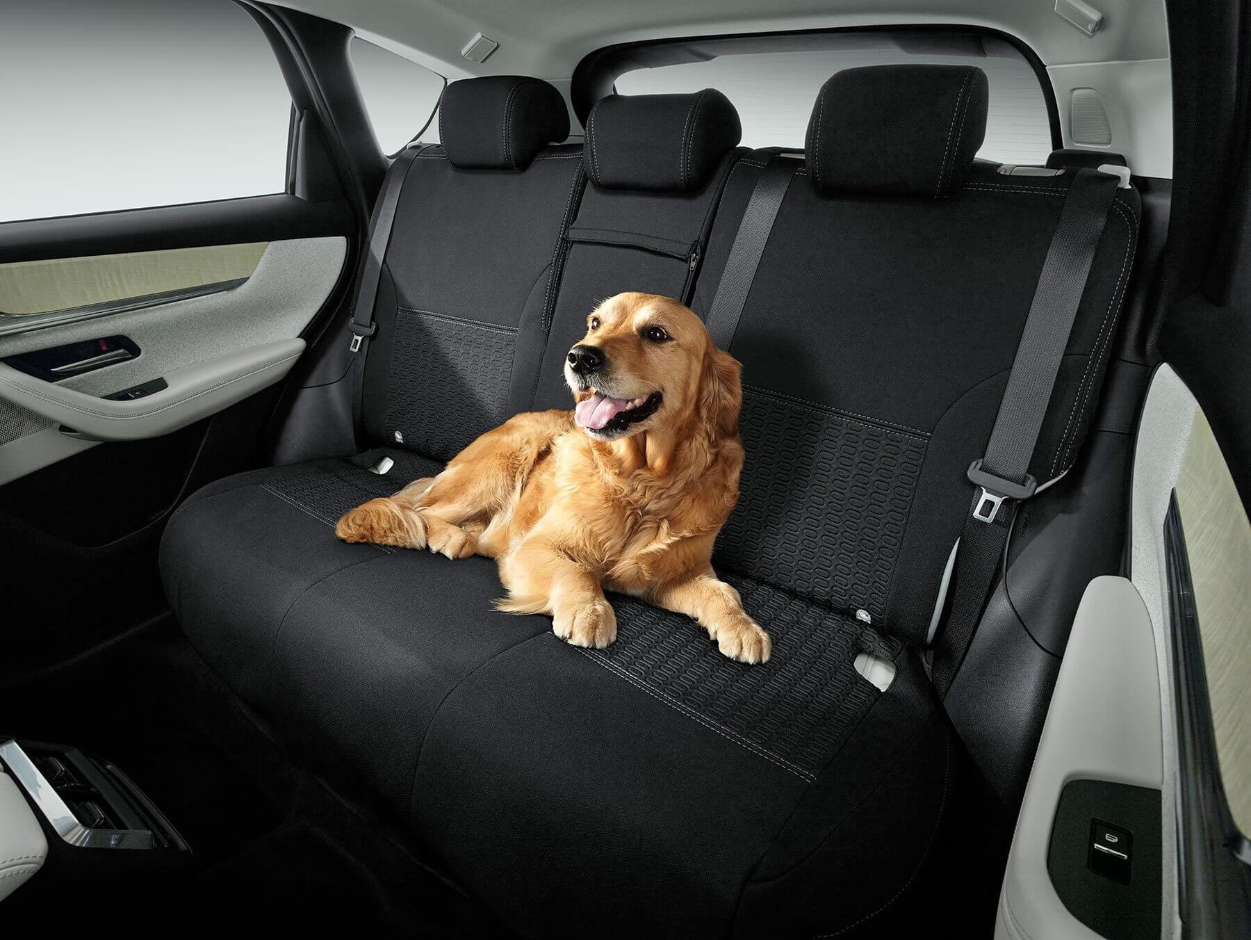 CX-60 Rear Seat Cover