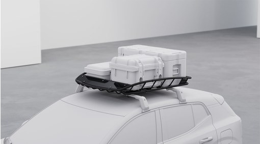 Roof basket