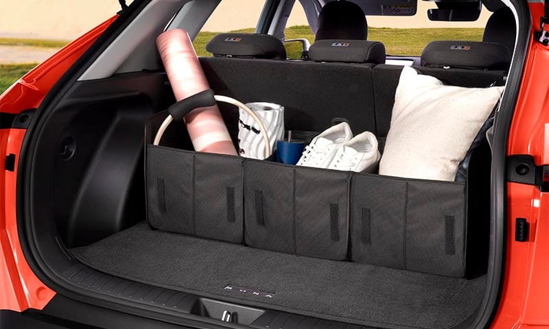 Cargo organiser