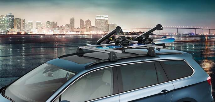 Ski and snowboard carrier