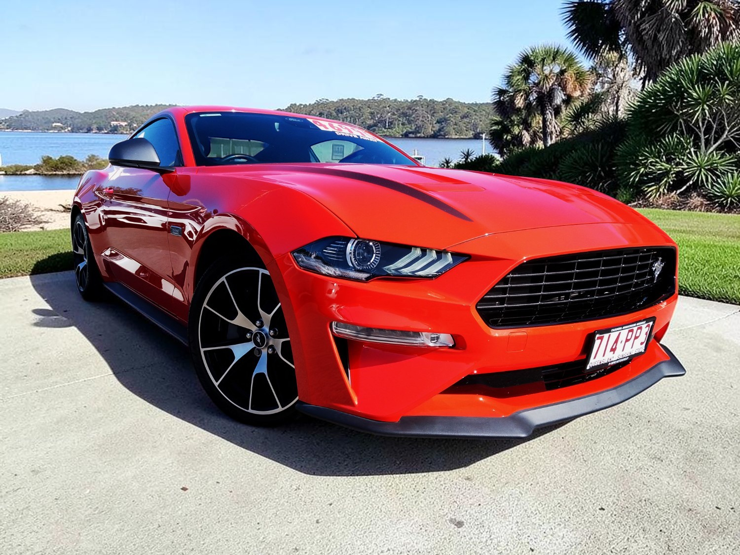 Used 2021 Ford Mustang High Performance | Large Fastback | 716381 