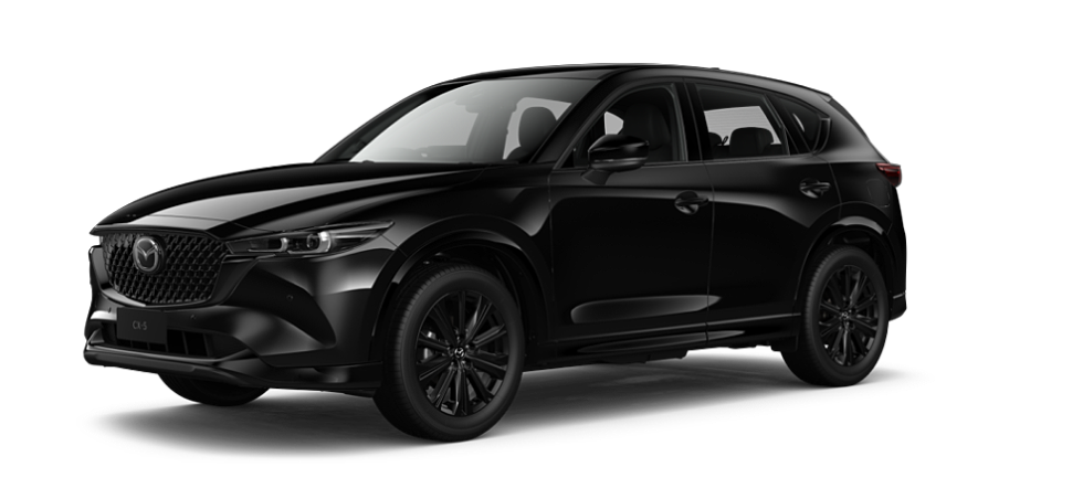 Jet Black Mica