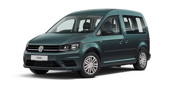 Bamboo Garden Metallic