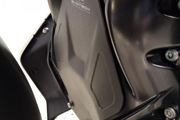 2024 BMW R 1250 R Triple Black R 1250
